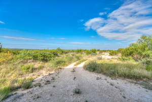 11935 Little Sorrel Trail (14)