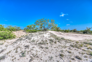 11935 Little Sorrel Trail (42)