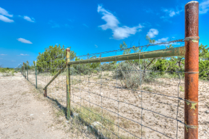 11935 Little Sorrel Trail (50)