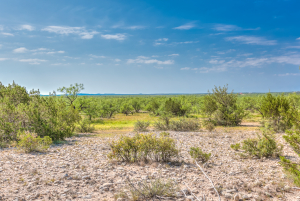 11935 Little Sorrel Trail (56)