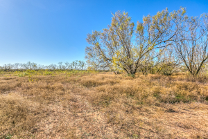 201 County Road 288 (36)